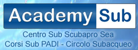 Academy Sub